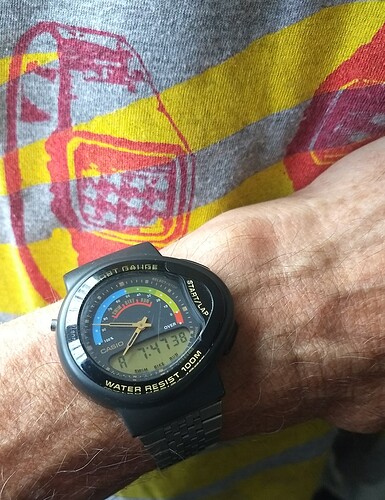 IMG_20250802_074737333~2