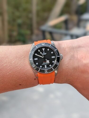 PXL_20260427_144956277.PORTRAIT