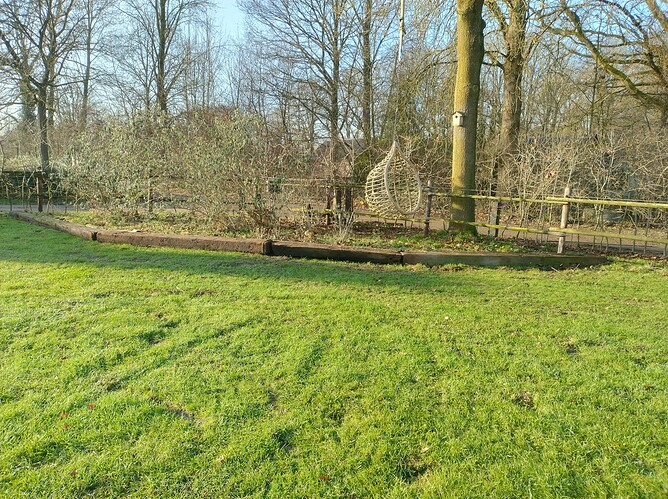 IMG_20260118_110135451_HDR