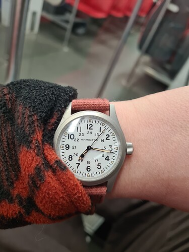 17619346846447155732982253185554