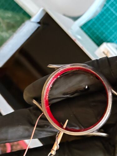 IMG20260305172307   1