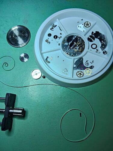 Alle onderdelen gecleaned, lipje van de veer is los uit de veerton gekomen