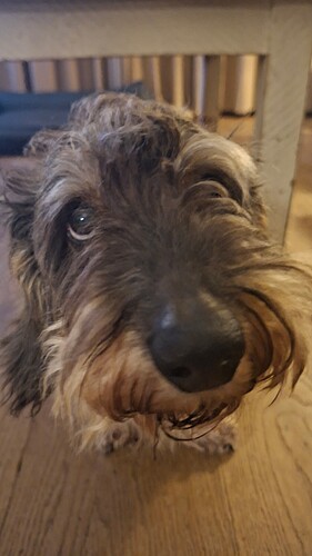 17740357631155898064157041569902