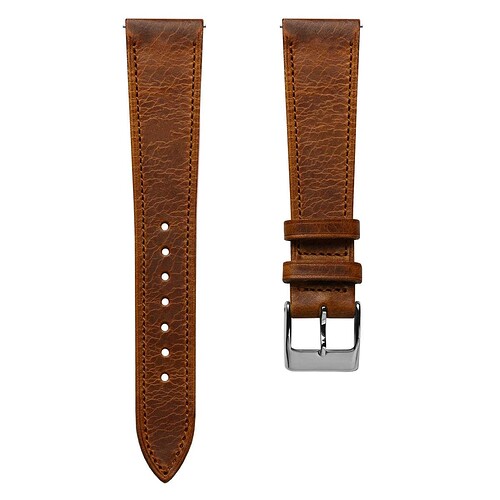 Watchgecko Hatherley Badalassi Carlo Earth Brown