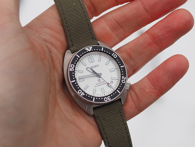 Seiko Slim Turtle SPB313 (22)