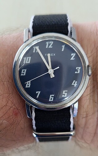 74bf9d50d928258fbb0a2bb8ece16f573c7daa1a_2_632x1000