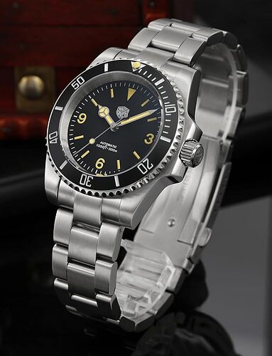 61tT3SGEUBL.AC_UY1000