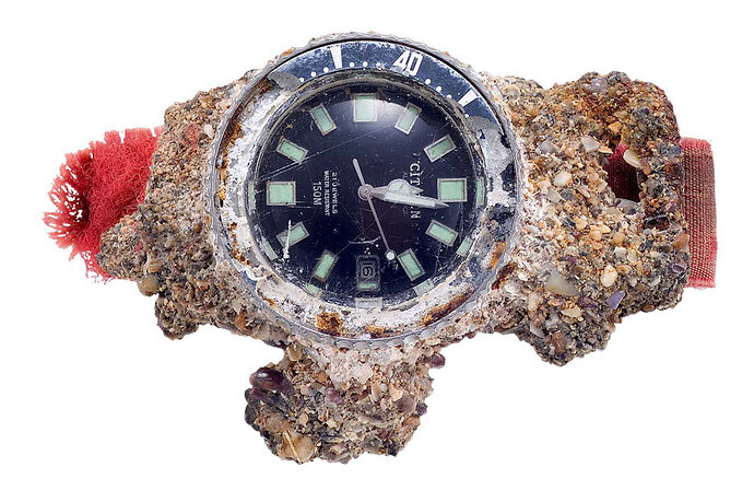 citizen-1977-challenge-diver-barnacles-Long-Reef-Beach-australia