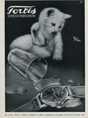 584954383_1274606694706901_3141880046203627037_n