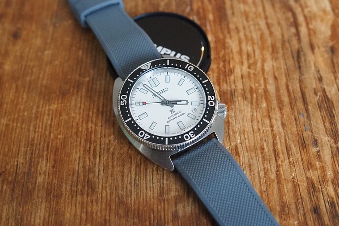 Seiko Slim Turtle SPB313 (13)