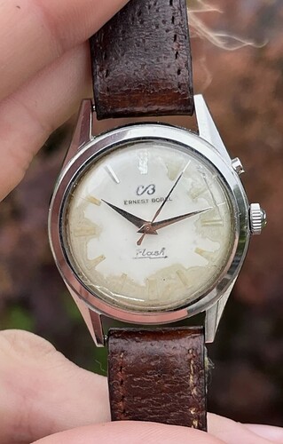 Screenshot_20260219-095049-302