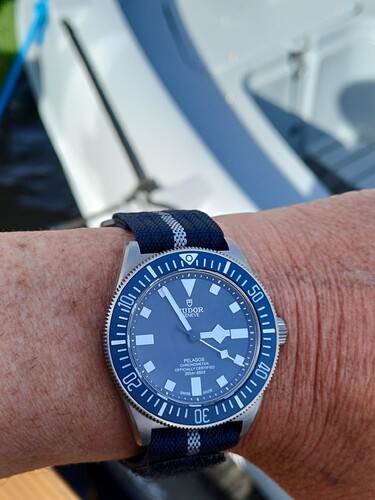 17740148701208842488815061350295