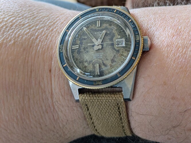 PXL_20251029_115403312.MP~2