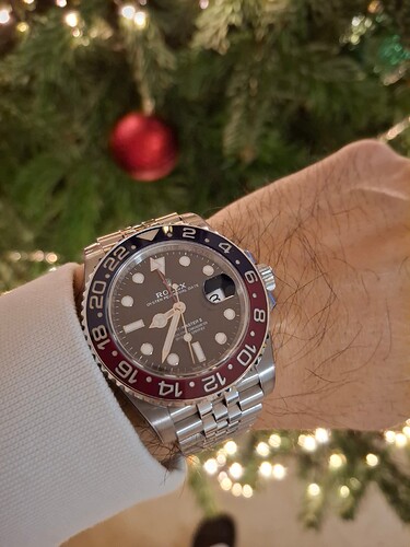 17657036043044991258200402349309