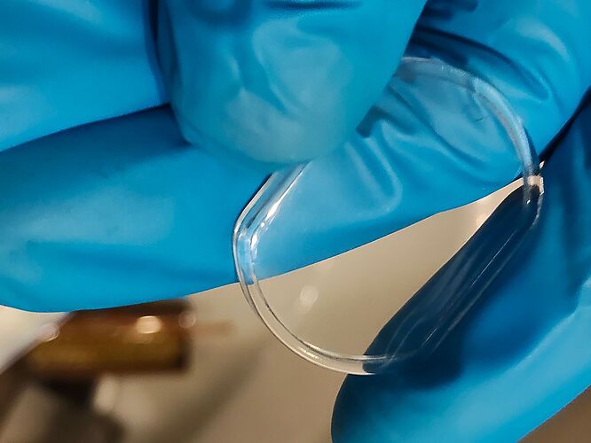 IMG20251217181206   3