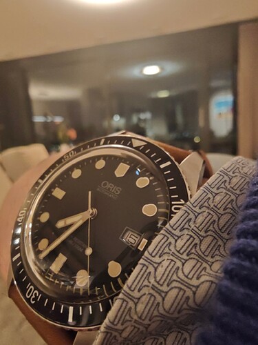 17735995688005987277609762064702