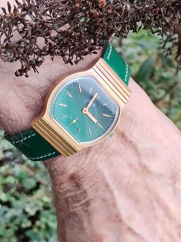 IMG20260202145604   6