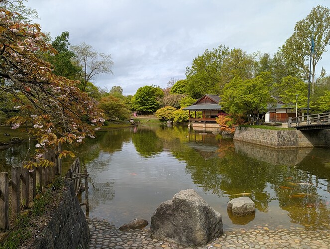 PXL_20260416_093026273.MP