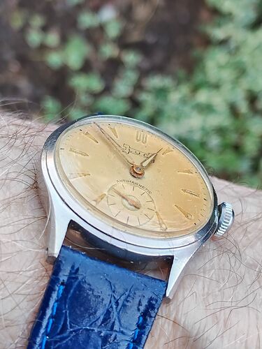 IMG20260304125200   2