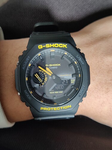 17738274748732768248495325960351