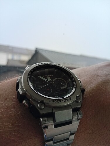 17704616024138662162900042473166