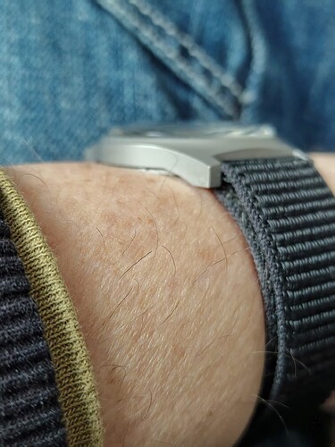 IMG_20260313_101341384