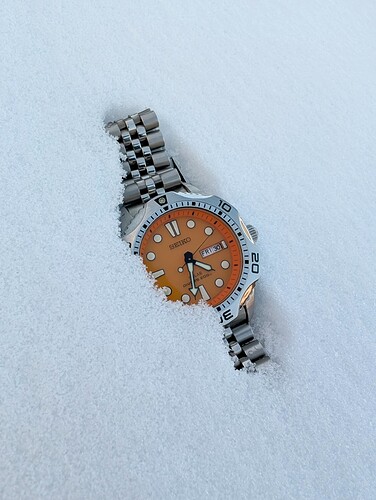 PXL_20260130_153318972~2