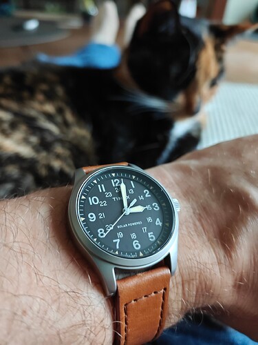 17652025036875469405284758654802