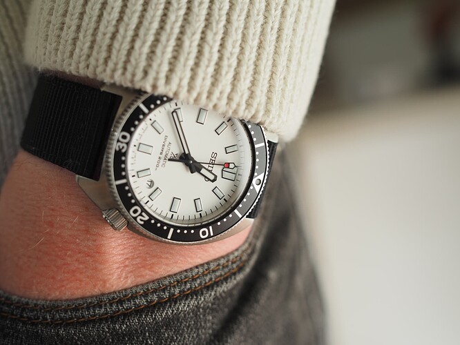 Seiko Slim Turtle SPB313 (3)