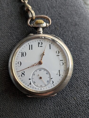 PXL_20260308_114240970.MACRO_FOCUS