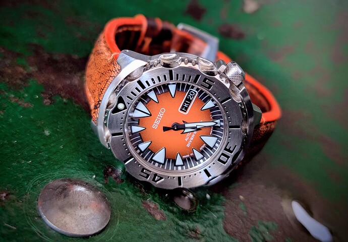 PXL_20260320_162514491.PORTRAIT~2