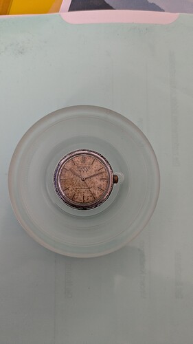 PXL_20260410_080137375