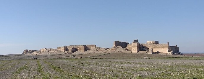 IMG_2770