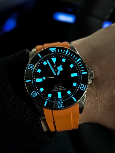 PXL_20260417_105645437.PORTRAIT