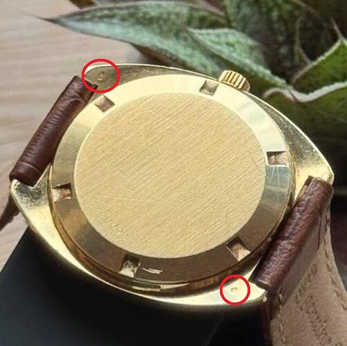 3b083cef13b32f960416a4732422a0a41323d232_2_1004x1000