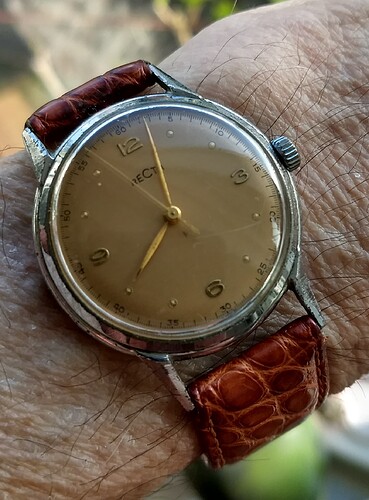 IMG_20260326_080327424_HDR~2