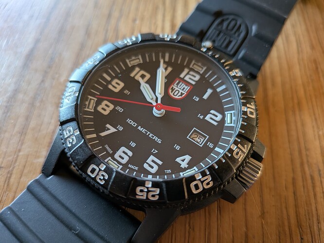 PXL_20251225_085441857.MACRO_FOCUS