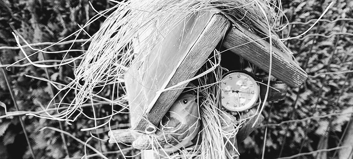 IMG_20251117_111334_HDR~2