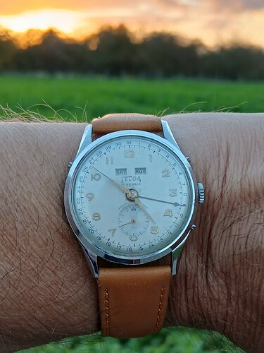 17626170433231181620337448997649