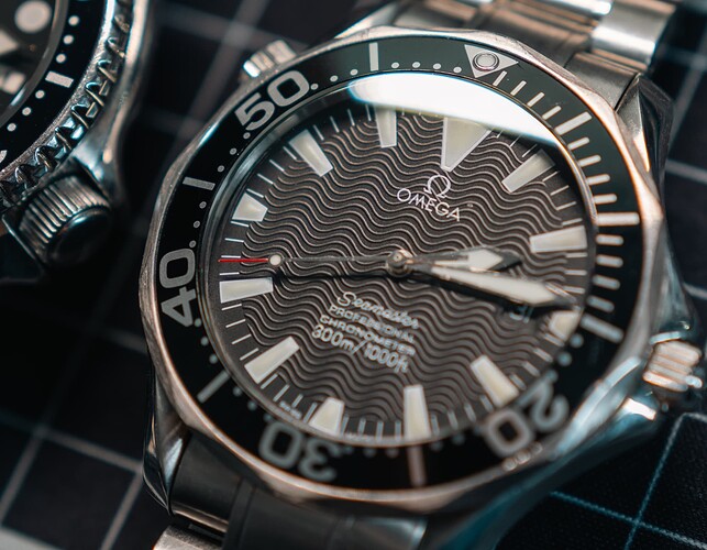 20260131_sotc_duikers-5