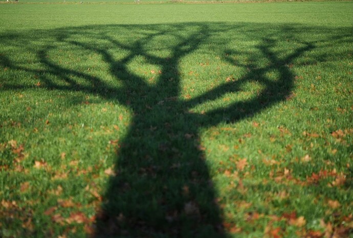 Screenshot_20251108_071644_Photos