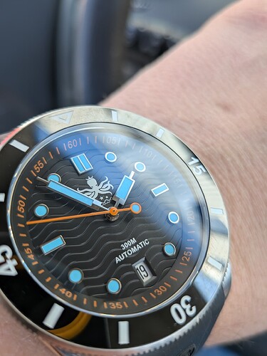 PXL_20260319_125349683.MACRO_FOCUS