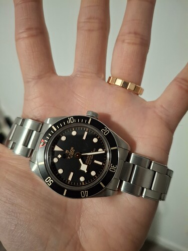 17692791733886055399388761998665