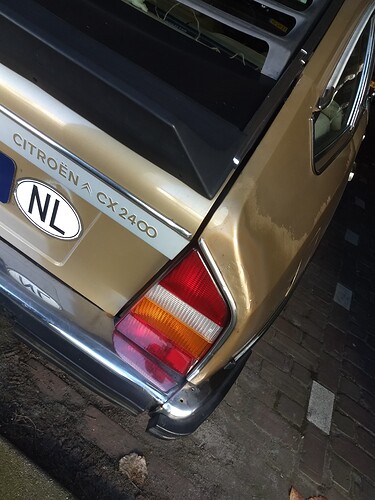 IMG_20260305_132324797