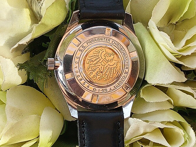 IMG_20251110_105156_695