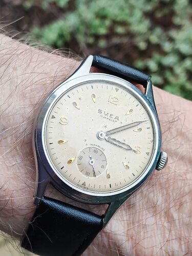 IMG20260213152047   1