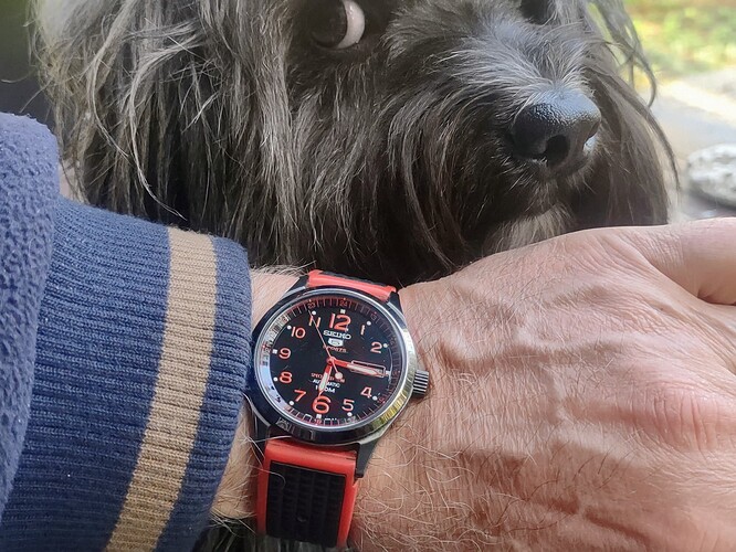 IMG_20260404_181548325~2