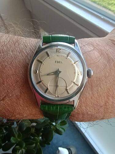 IMG_20241027_083109193