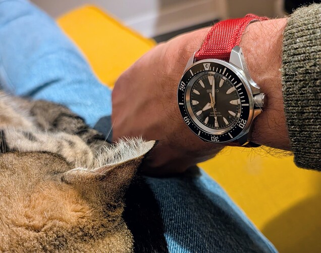 PXL_20260227_190143535~2