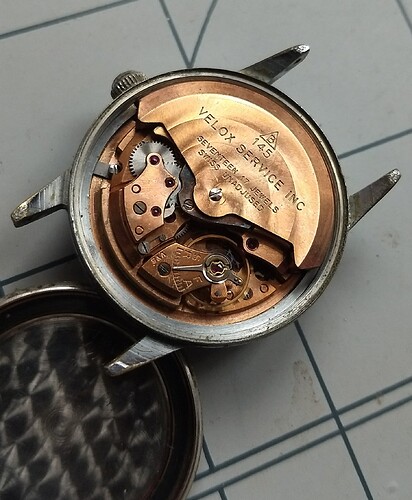 IMG_20260203_145049816~2